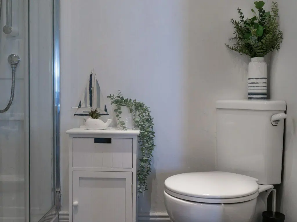 2e3c5721 cf59 4226 9045 7af6d87d5524.jpeg