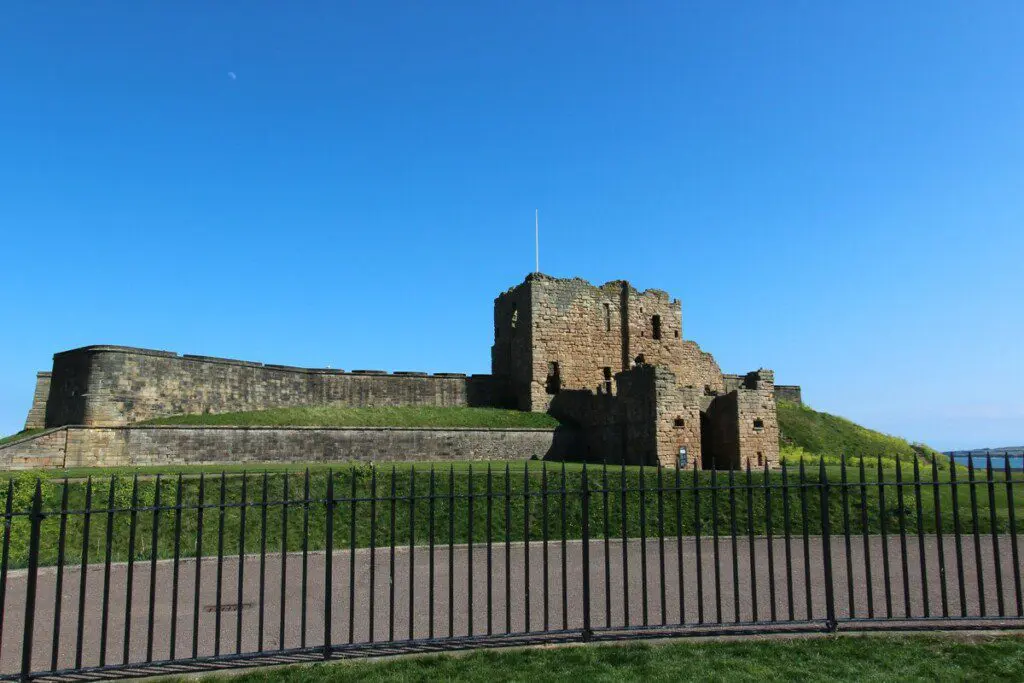 9ded0ca1 755c 429d bd7f eccf6d261d58.jpeg