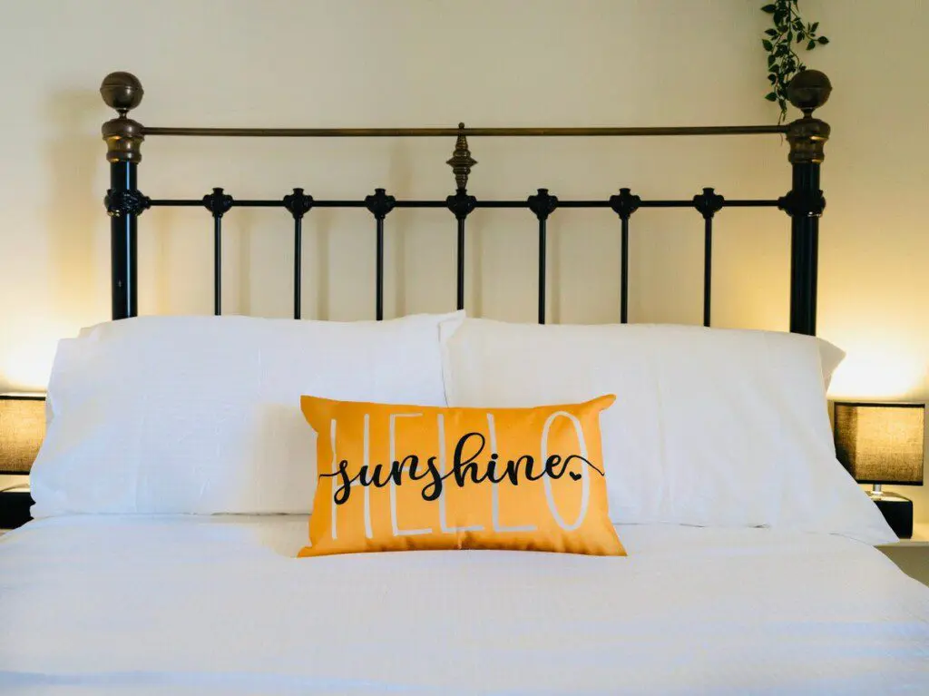 c2ae1387 970d 4ac7 ae30 845a0253d56a.jpeg