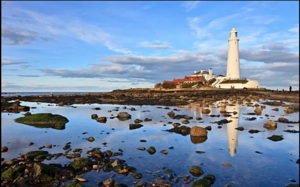 23492fce 0404 45e5 9183 83bd7a3ee274.jpeg