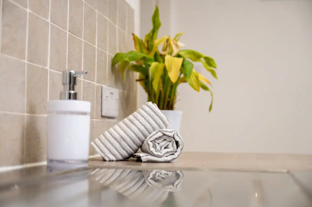 896ed9d0 ef06 4ceb b91a 71e6d05bc8a4.jpeg