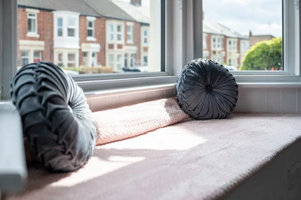 9bd6ec1e e968 421f 9473 1d05dc798174.jpeg