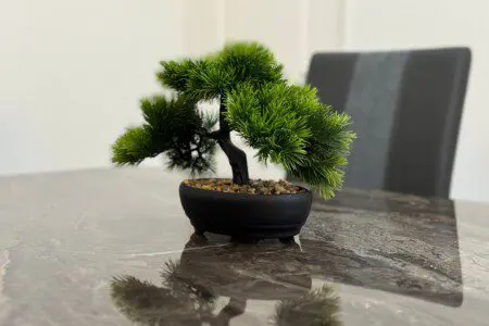 096c4154 113b 4fd0 9f6f dafd3aae7b74.jpeg