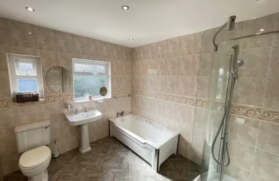 0b9949c4 6705 4112 a71c 2c012452867c.jpeg