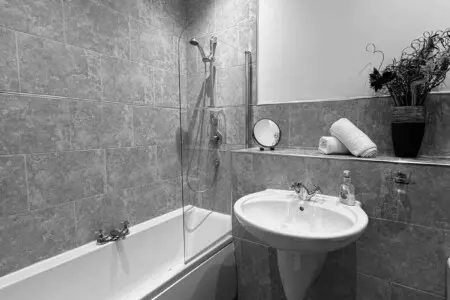 0bb26b49 ca9e 4456 990d 7a84676e745e.jpg