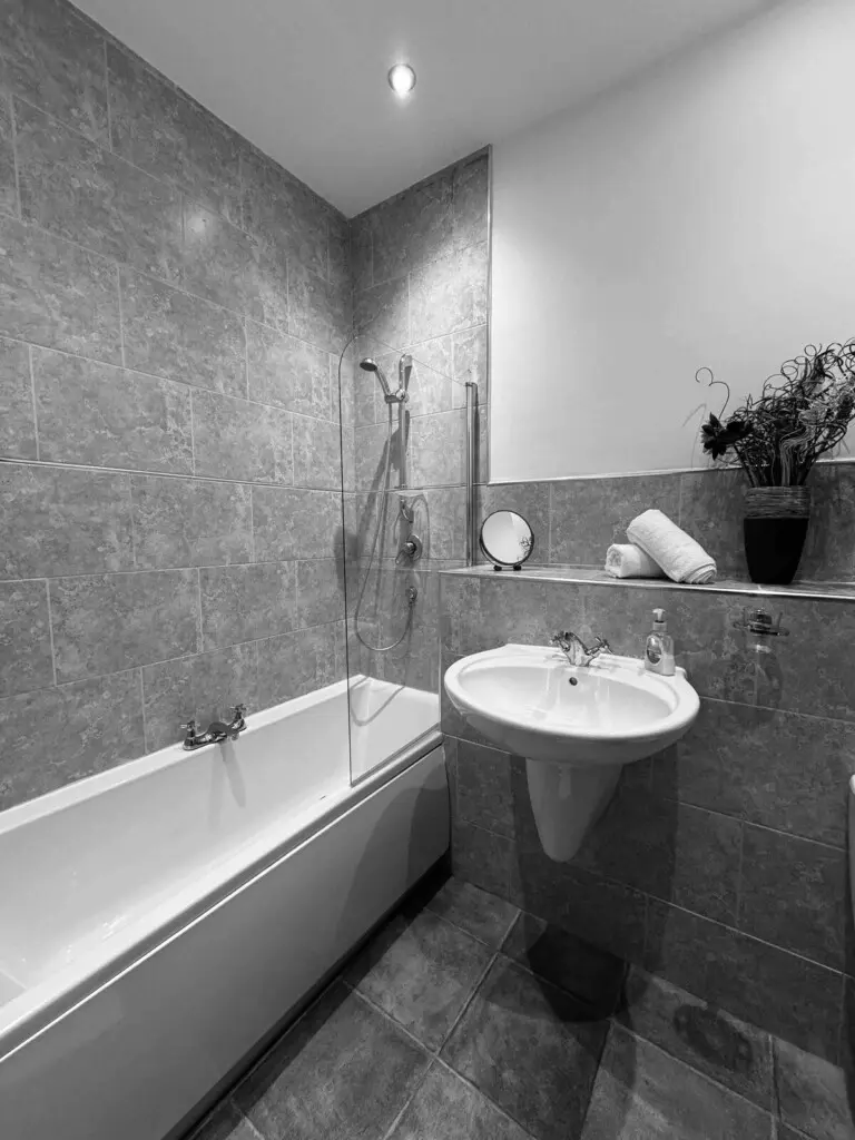 0bb26b49 ca9e 4456 990d 7a84676e745e.jpg