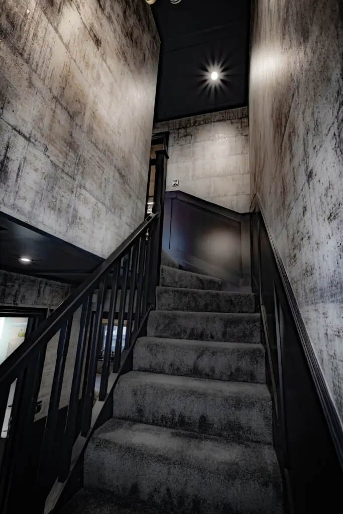 0f1b2e2f e61d 4a05 a374 689651635e0b.jpeg