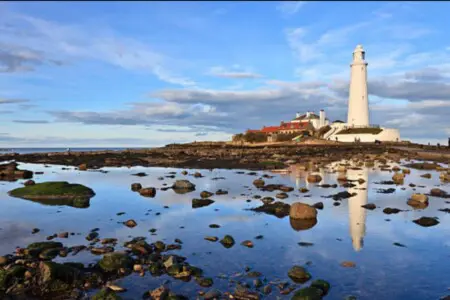 11611f47 98de 465f 98d2 a38c45c4d6c1.jpeg