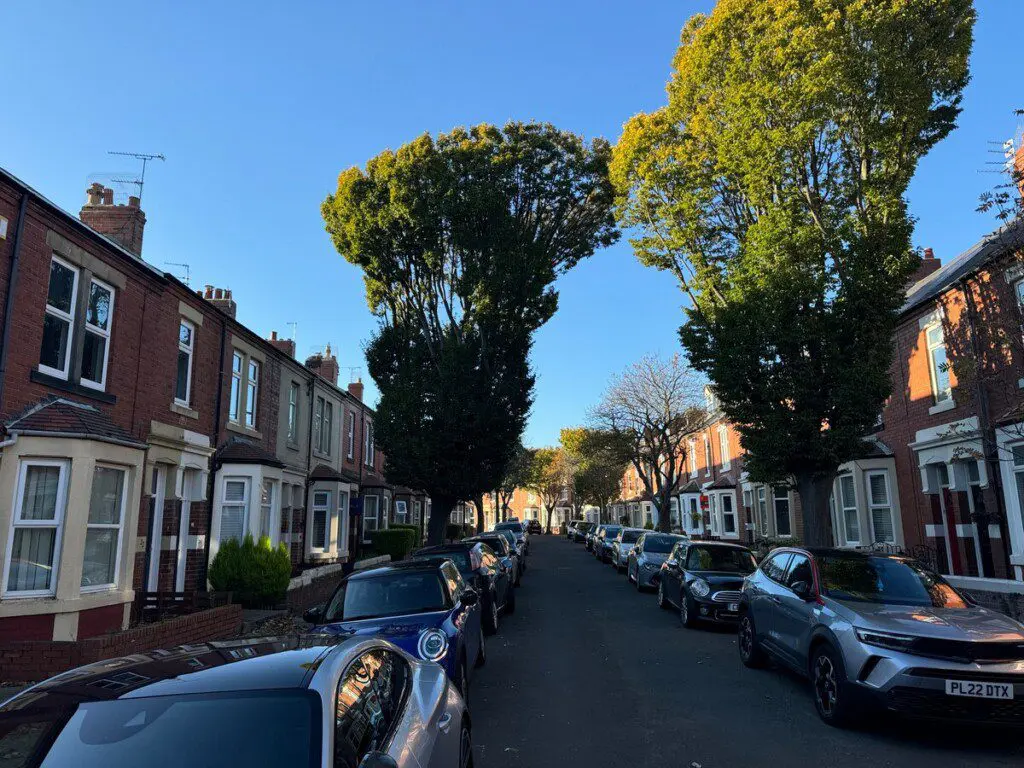 11fa5796 ee14 4794 a05c ed4db9275398.jpeg