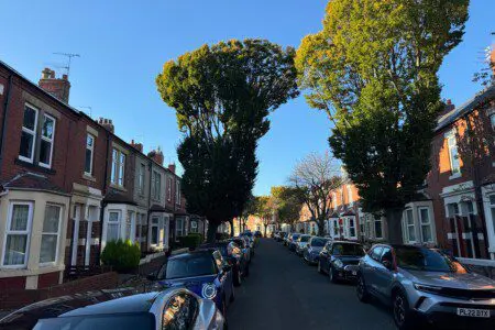 11fa5796 ee14 4794 a05c ed4db9275398.jpeg