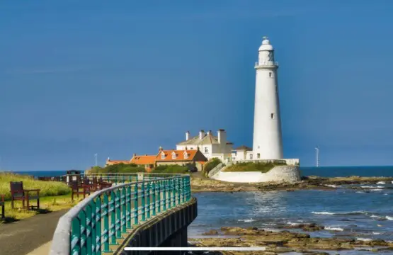 20c6406d 06bb 4391 ad8d 2f4d2be492ce.jpeg