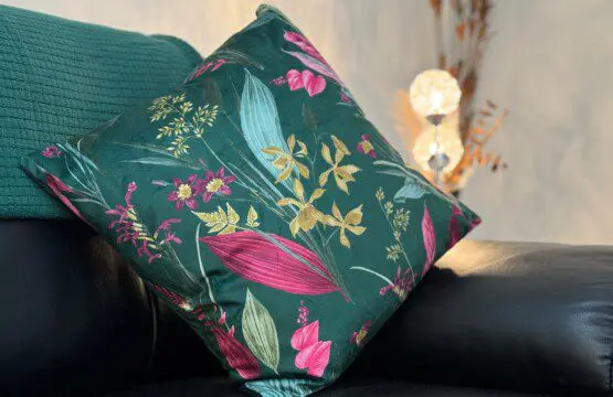 242f064f 64ec 451c 866d fb510bd018c7.jpeg