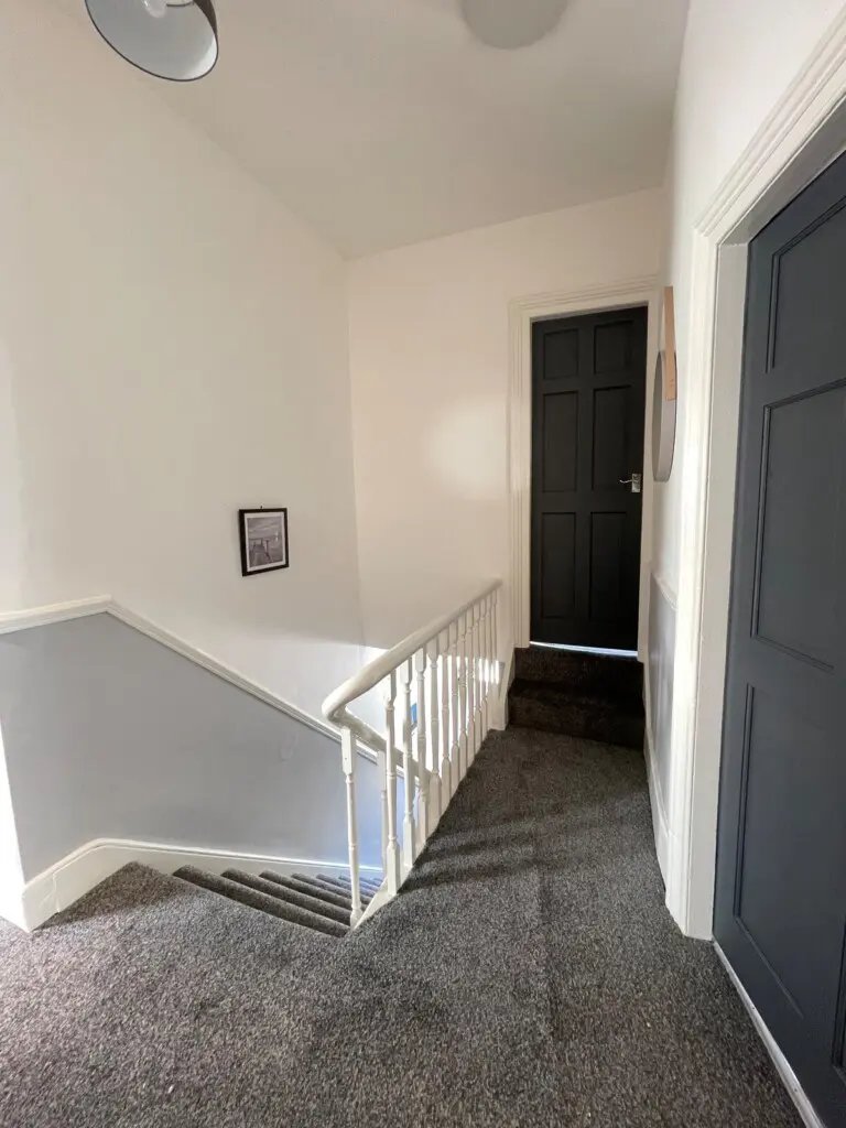 246176ad f60e 443c 9d13 9077965989d8.jpeg