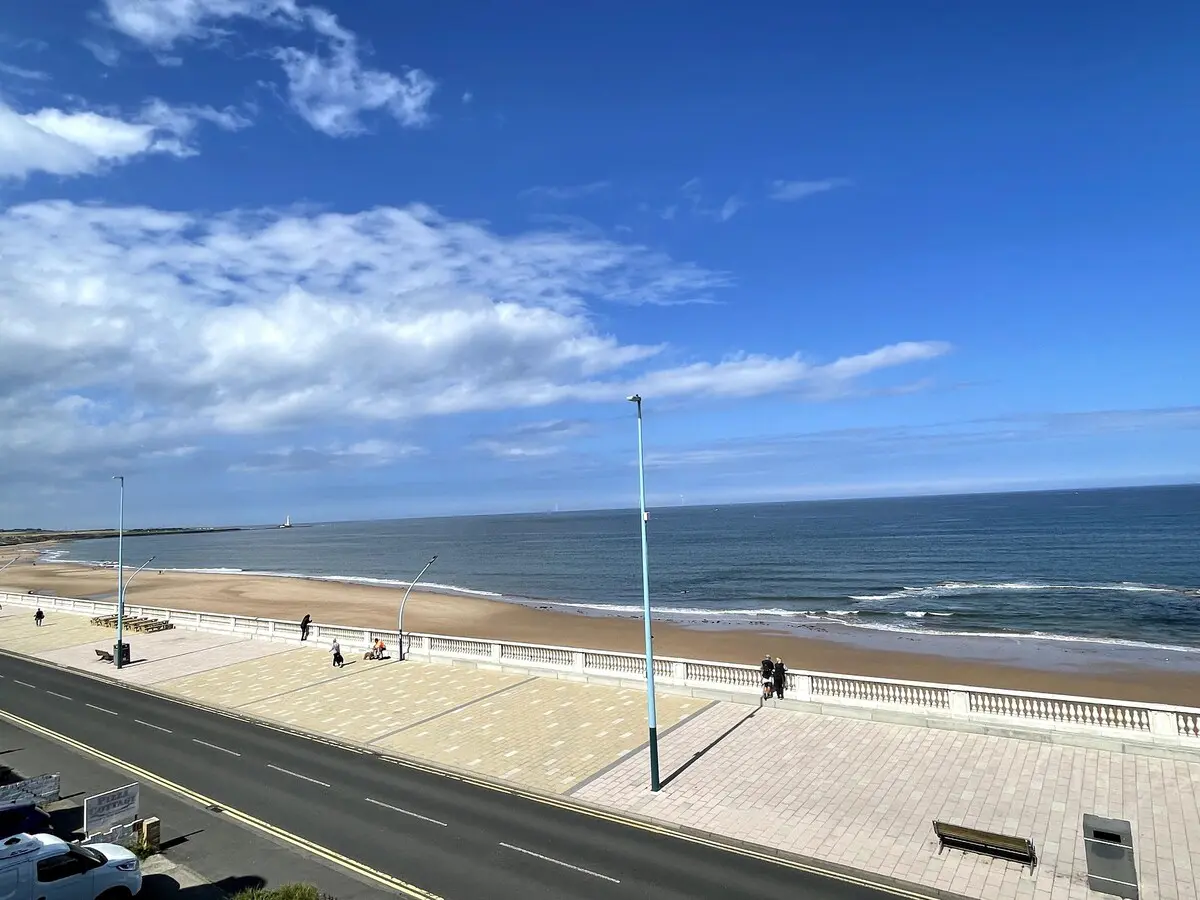 26060a29 94e1 4cfa b6ef 5471c00d7bf2.jpeg