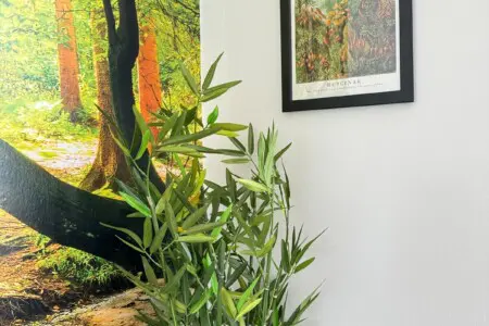 29709ca3 41e2 4531 8875 4ccaafffcdf9.jpeg