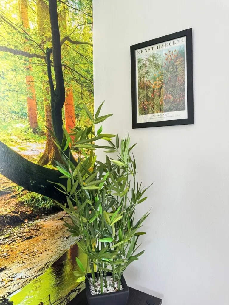 29709ca3 41e2 4531 8875 4ccaafffcdf9.jpeg