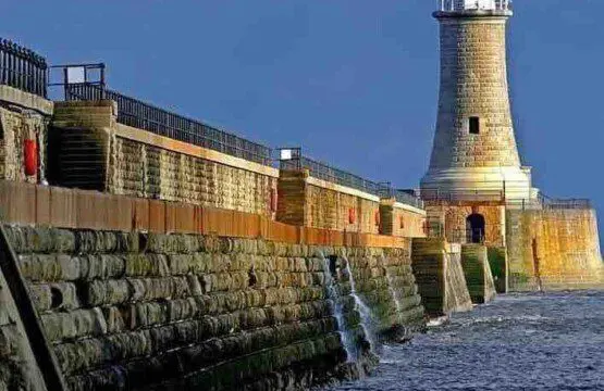 3b800919 6669 47f8 8f07 a7ca1a0717d9.jpg