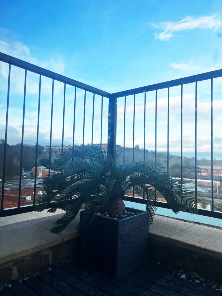 3c71f270 9ad3 4151 b1c8 d63512c08a2d.jpeg