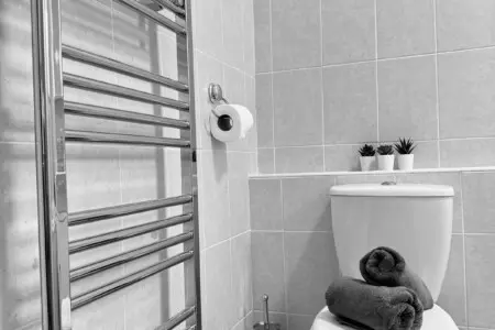 4599ceea 03e0 4929 adb5 02862b35e42c.jpeg