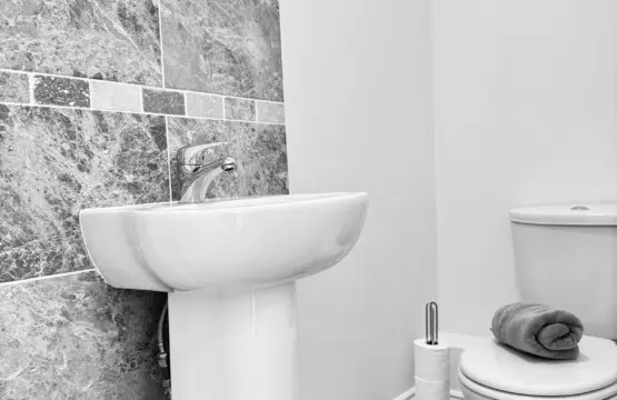 479c259a 5363 45b7 b469 ecb90d8da805.jpeg