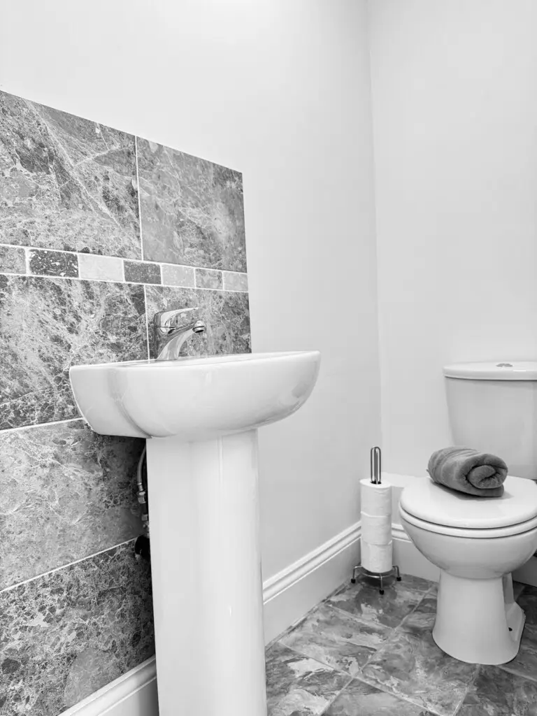 479c259a 5363 45b7 b469 ecb90d8da805.jpeg