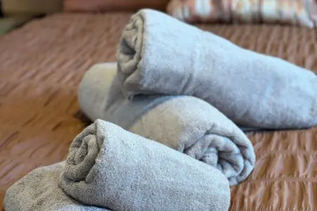 479d0e88 0cdf 48ac 9bda 2b99d1d1b24f.jpeg