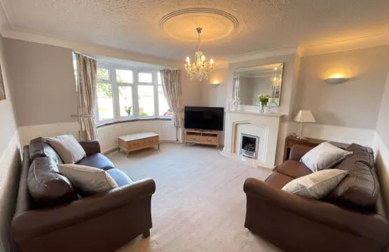 48a4735e 8c2b 45d0 952e 9d792d09bd1f.jpeg