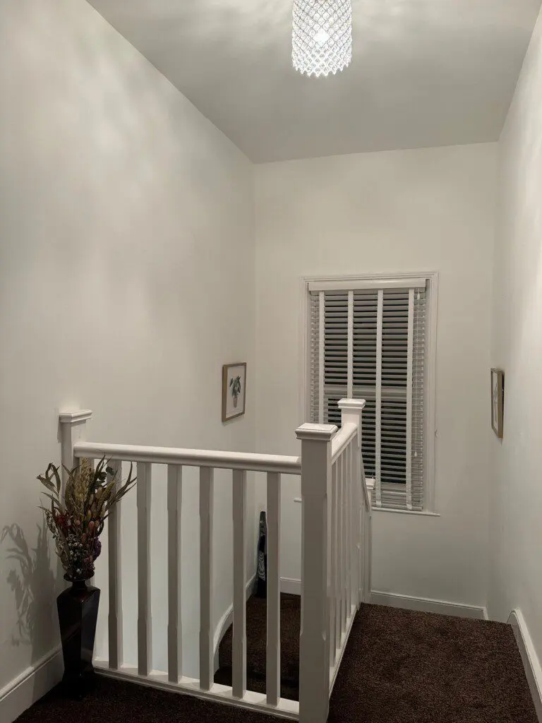 4ae23350 3ba2 4eec aa46 29b386bac296.jpeg