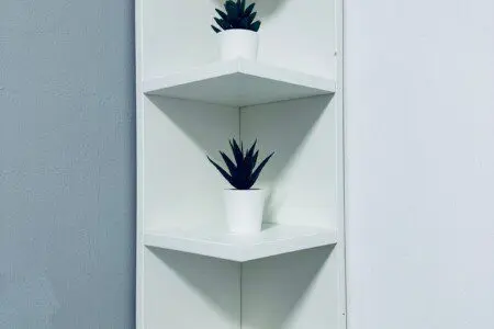 56c264db acf4 4dbc b83a cae140e4f898.jpeg