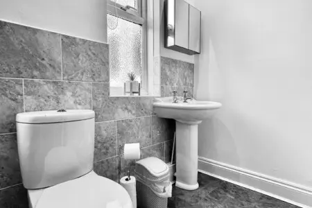 5b9811e2 5e5a 4148 a82f 635bb499c910.jpeg