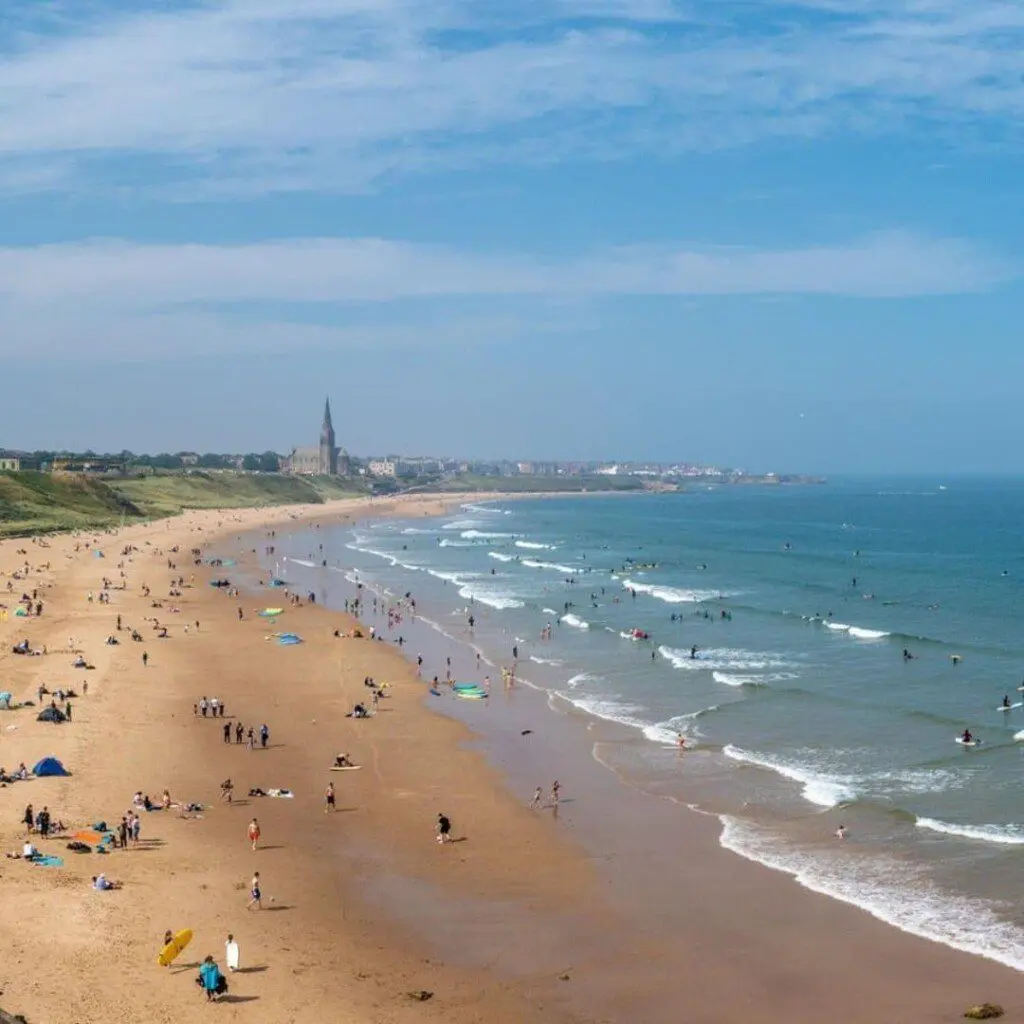 5bbd185d d15d 4e3d a799 f9cfe22832ef.jpeg