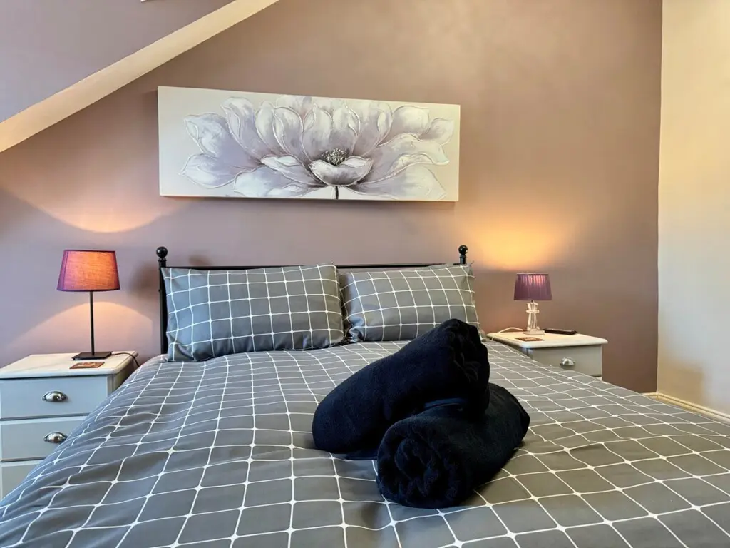 65e9c543 9244 4b0b bfaa 897b0c196e38.jpeg