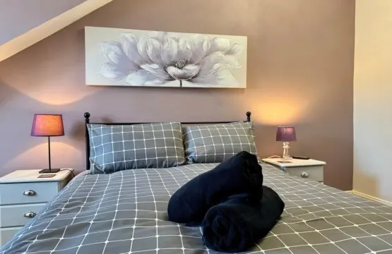 65e9c543 9244 4b0b bfaa 897b0c196e38.jpeg