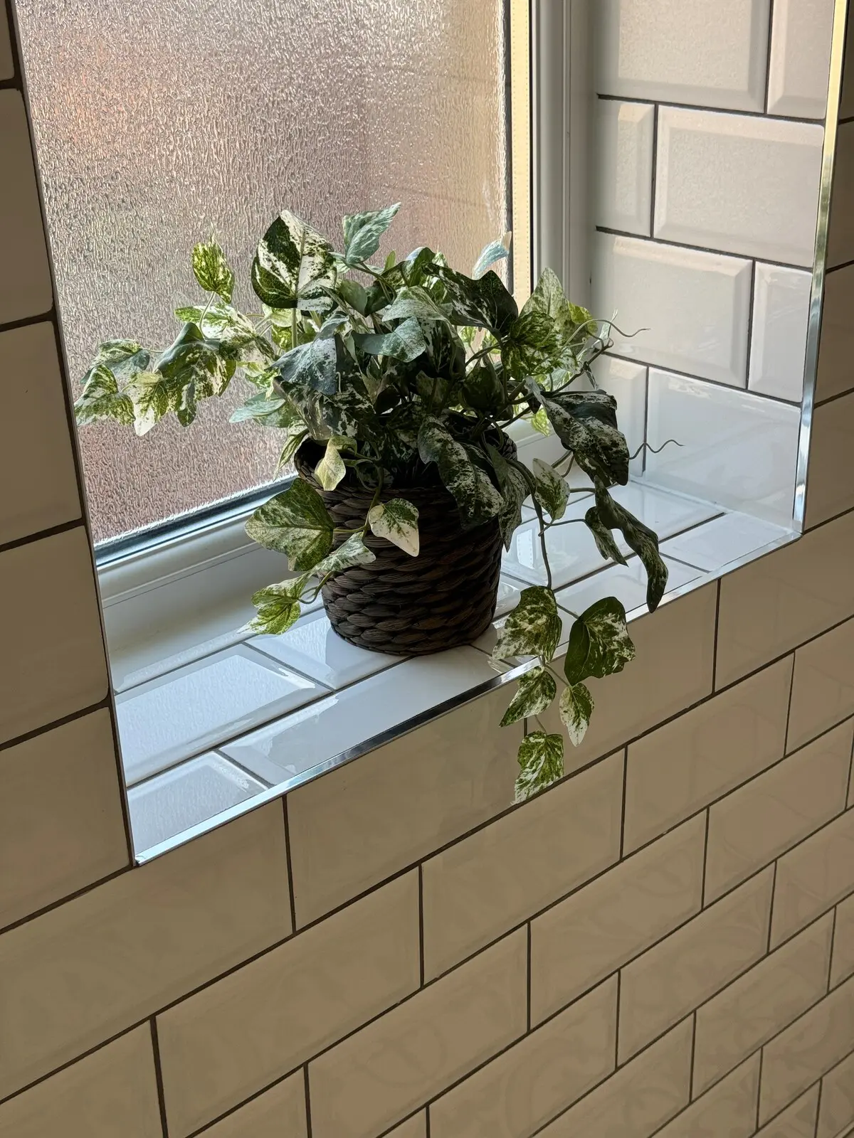 67102382 2b45 410e b301 e7c97133aafa.jpeg