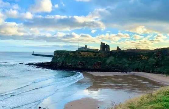 674ad930 7cf4 4f48 ae16 e362e9dd444c.jpeg