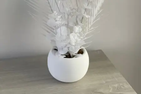 6b19bfa3 be19 461e 9362 3339a199db7c.jpeg