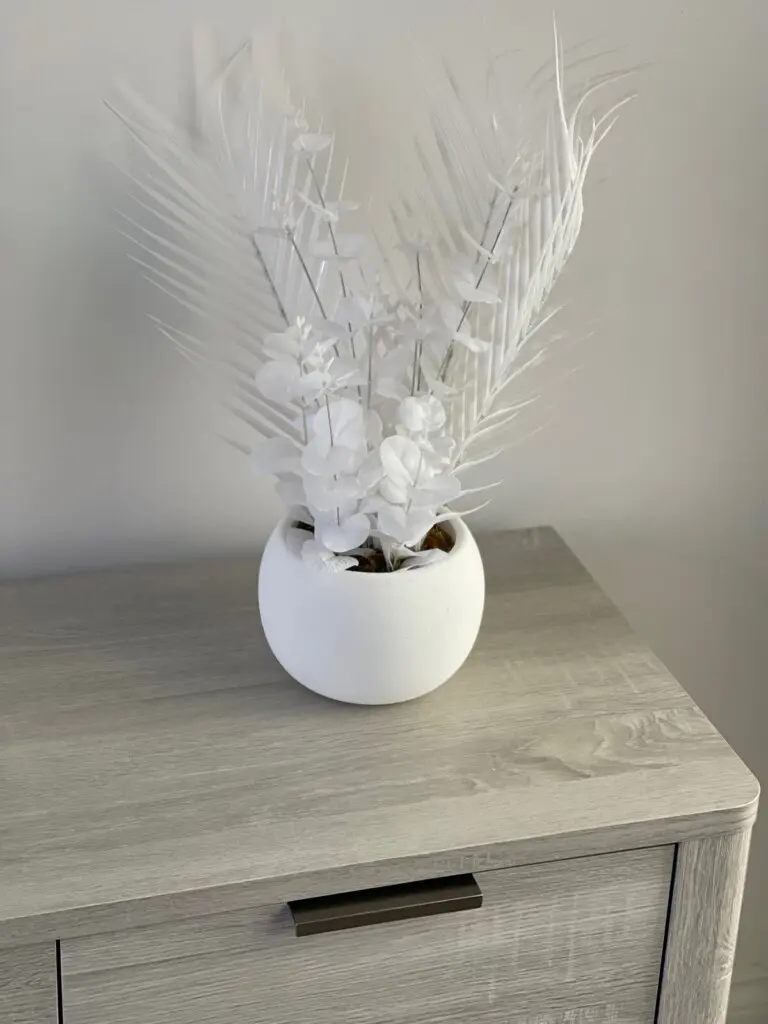 6b19bfa3 be19 461e 9362 3339a199db7c.jpeg