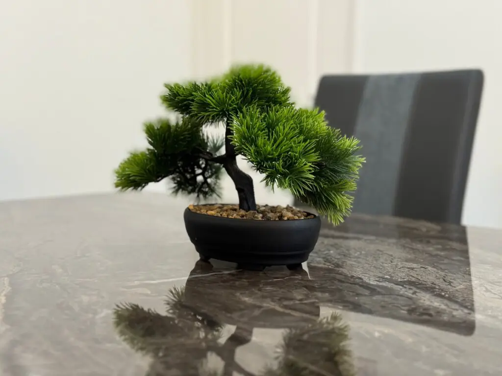 7279cd77 426e 471c b7cb 81b93b782387.jpeg