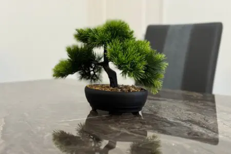 7279cd77 426e 471c b7cb 81b93b782387.jpeg