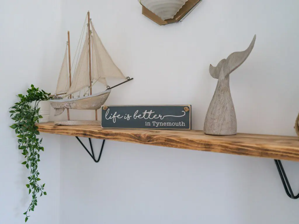 7abd40c7 1888 4408 bed6 a00f2fdc6e18.jpeg