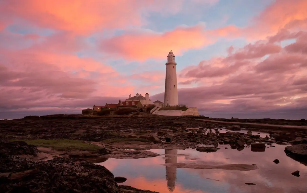 82fe15ba 93da 418a a0c9 0724d1ddbf80.jpeg