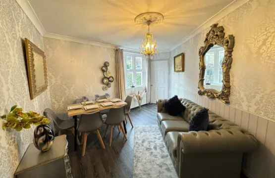 8795b256 458d 4e48 b120 e9403b7b32c7.jpeg