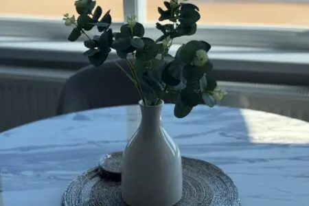 a571ad26 36fd 495d b38a 540ee62aa029.jpeg