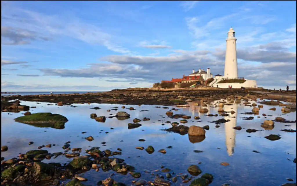 b2f7b99c 4647 4ea8 b2d9 6a3dc7a75ec9.jpeg