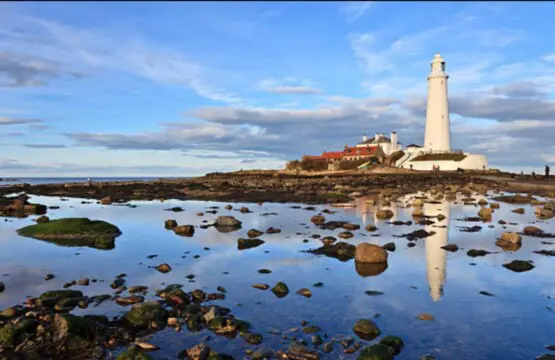 b2f7b99c 4647 4ea8 b2d9 6a3dc7a75ec9.jpeg