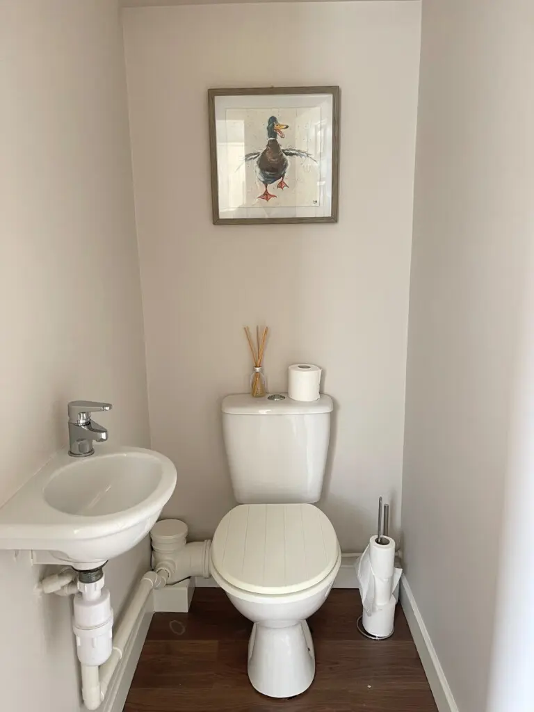 cbc3a4f7 f9ab 498e 875d 394763abf113.jpeg