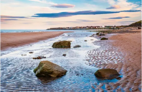 cd1103f9 6b8b 43c3 83f0 14e45ad5c1dd.jpeg