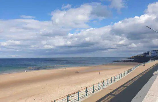 ce697c48 3b6d 4b5f ae6d cfeada2178a0.jpg