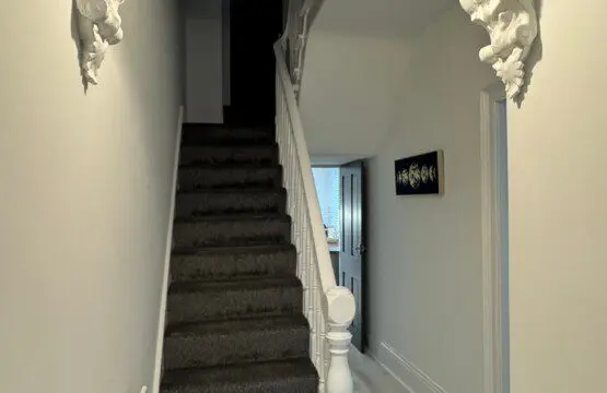 d02c9e51 1f90 4b00 a35e d78dee7acd40.jpeg