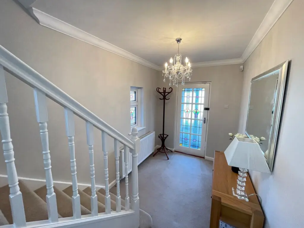 d05ff1f1 d9b3 4f3e a1c2 b254f4b657ce.jpeg